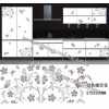 水轉印，家具水轉印，家具水移畫