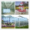 【ZUIHAODE三色堇】三色堇種植基地在哪里？